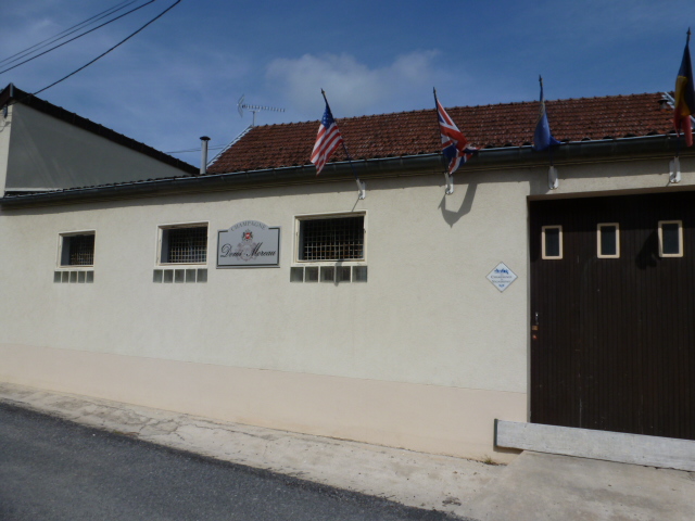 Domi Moreau Champagne Vineyard (27)