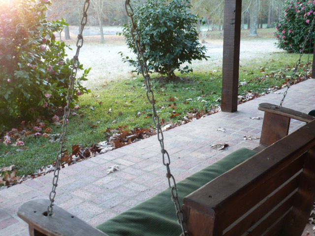 Dream Tree Bayou in Winter (2)