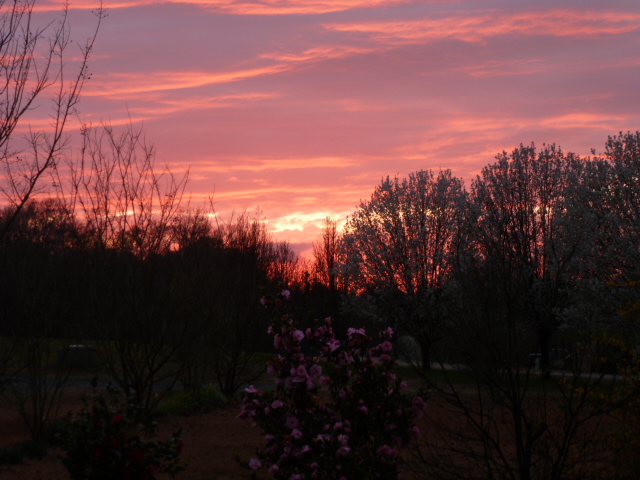 Spring Sunset (2)