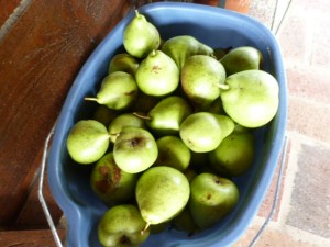 Freezing Pears