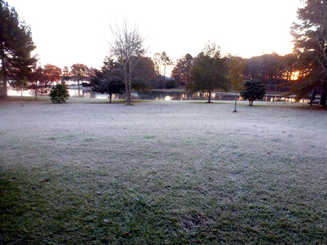 Frosty Morning on the Bayou (14)
