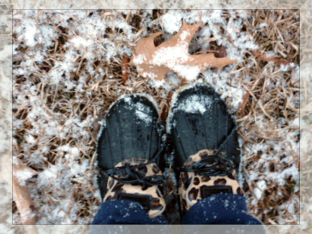 Snow on the Bayou 2014 (3)