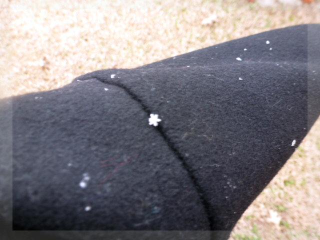 Snow on the Bayou 2014 (4)