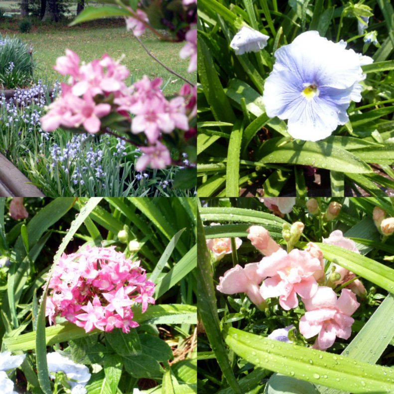 Her Face in the Flowers