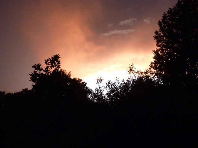 Impending Storm (5) - Copy