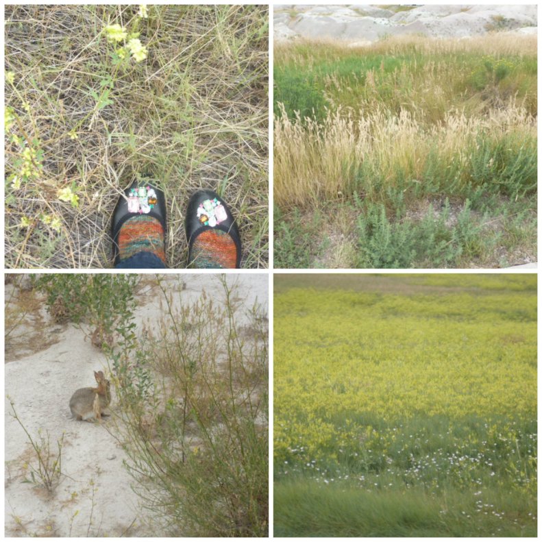 Badlands National Park (2)