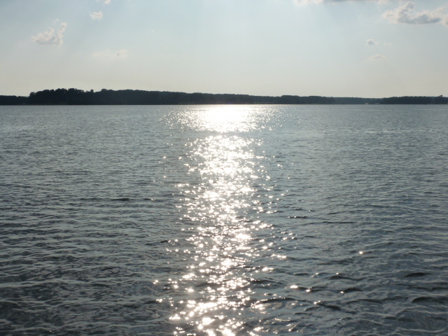 Falling Leaf Rising Thought