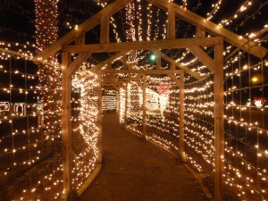 Piney Woods Christmas Festival 2014 (8)