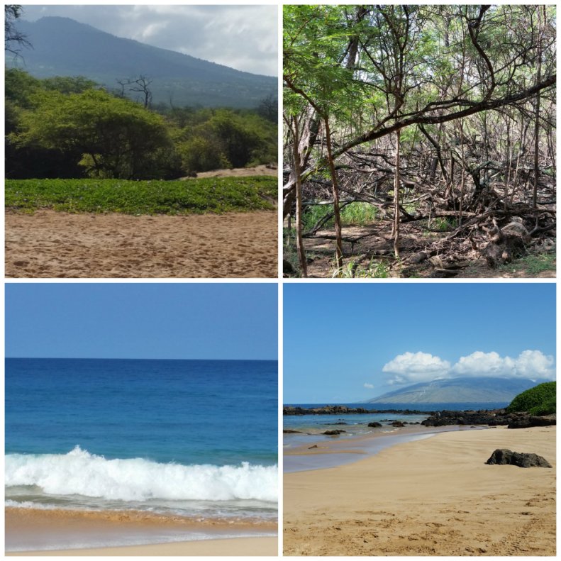 Beaches on Maui