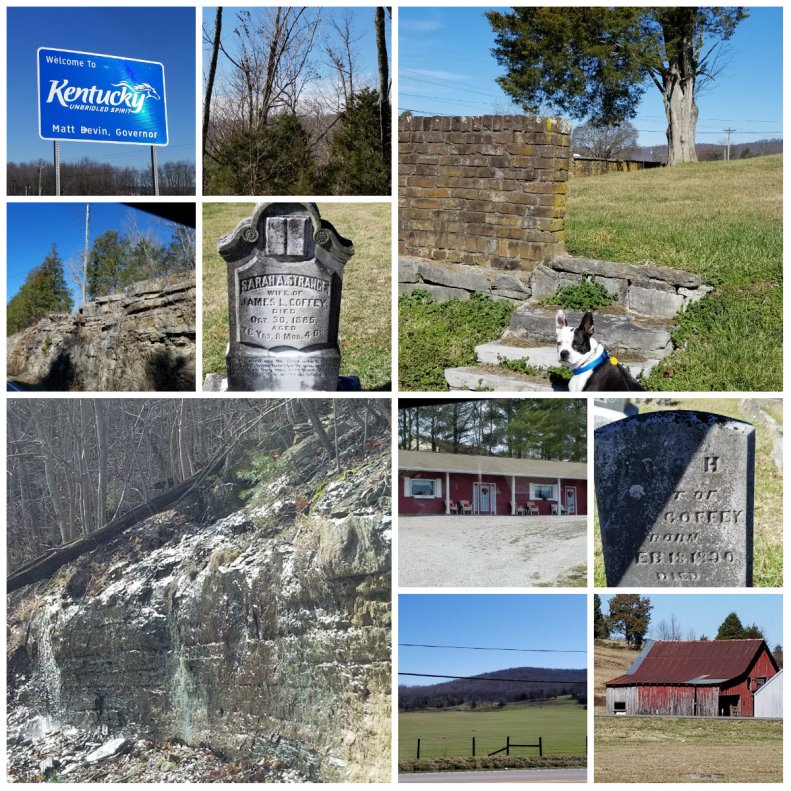 Daniel Boone National Forest KY